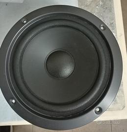 Woofer Pioneer 
