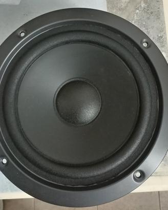 Woofer Pioneer 