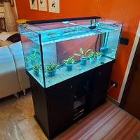 acquario 240 litri
