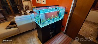 acquario 240 litri
