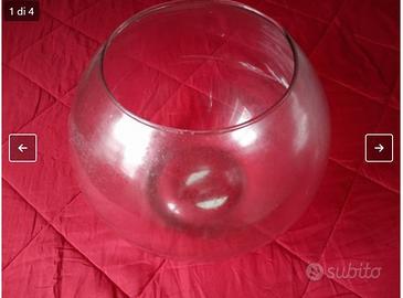 Boccia per pesci o terrario