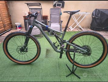 specialized stumpjumper large