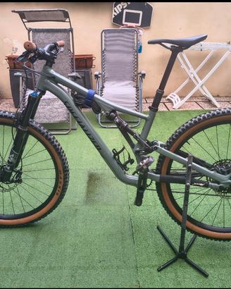 specialized stumpjumper large