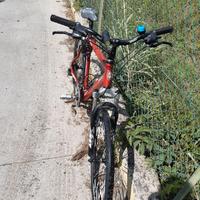 Bicicletta