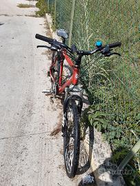 Bicicletta