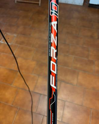 CANNA  Bolognese COLMIC FORZA 10 mt 6