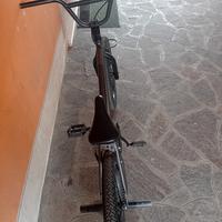 bmx freestyle 20