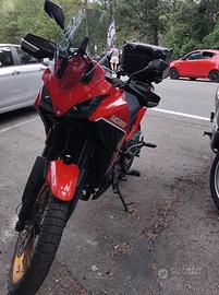 MOTO MORINI X CAPE 650 GOLD EDICTION