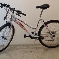 mtb donna