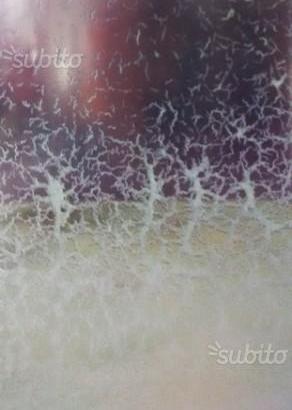 MICROWORMS MICRO WORMS mangime cibo vivo per pesci