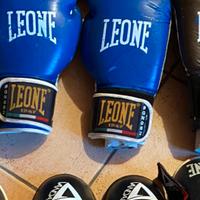 guantoni boxe ,parastinchi e parapiedi marca Leone