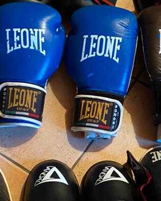 guantoni boxe ,parastinchi e parapiedi marca Leone