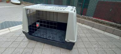 Trasportino kennel cane