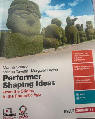 Libro performer shaping ideas 1