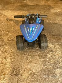 Quoad elettrico 6 volt