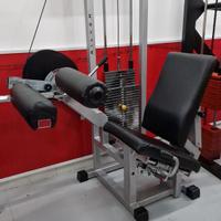 Leg Curl Technogym Silver