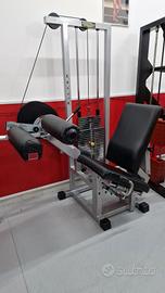 Leg Curl Technogym Silver