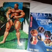 Palestra Poliercolina Lat ecc Fassi anni '80