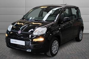 FIAT Panda 3ª serie - Panda 1.0 FireFly S&S Hybrid