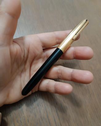 Penna stilografica DP2