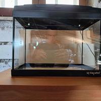 Acquario automatico completo.