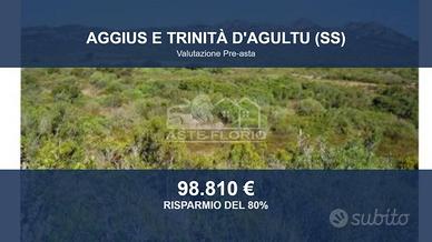 Immobile in asta di 786308 m² a Aggius