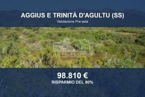 Immobile in asta di 786308 m² a Aggius