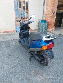 Aprilia amico