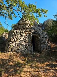 Terreno agricolo con piccolo trulletto