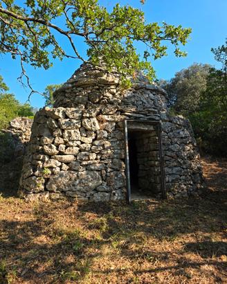 Terreno agricolo con piccolo trulletto
