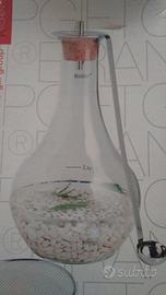 Fagioliera in vetro Brandani