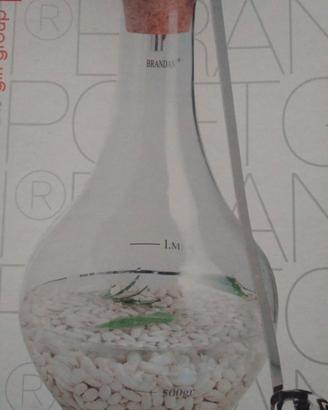 Fagioliera in vetro Brandani
