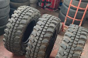 3 gomme H78 15 Malatesta Kaiman