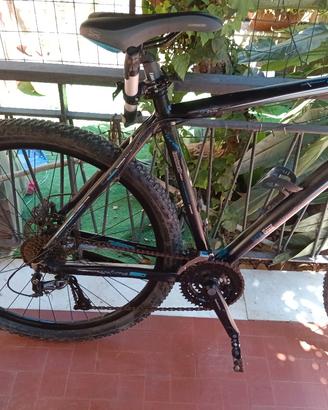  Lombardo MTB 29"