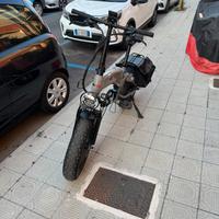 Bicicletta elettrica