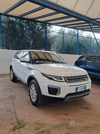 Land Rover Range Evoque 2.0 TD4 150 CV 5p. PURE