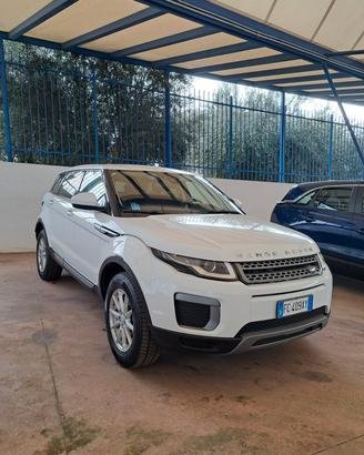 Land Rover Range Evoque 2.0 TD4 150 CV 5p. PURE - 