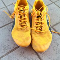 scarpe puma evospeed star 8