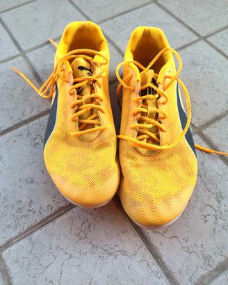 scarpe puma evospeed star 8