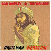 Vinile bob marley (nuovo con plastica)