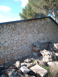 Muratore specializzato muri di Pietra