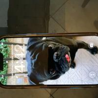 I phone 13 pro max 256