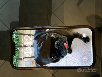 I phone 13 pro max 256