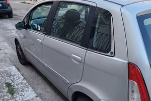 Lancia musa 