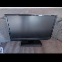 monitor LCD 22'