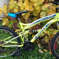 Mountain bike