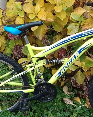 Mountain bike