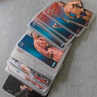 Lamincards Wrestling 