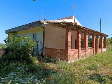 RGE 45/2024 Trib Barcellona PG - LOTTO 1