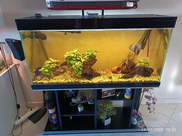 acquario 220 LT Ciano 